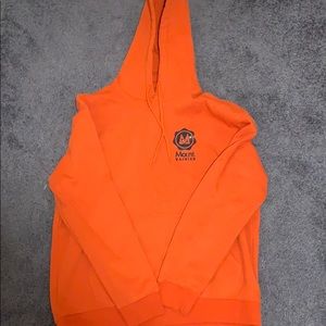 H&M mount Rainer hoodie